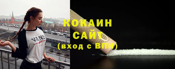 ECSTASY Бородино