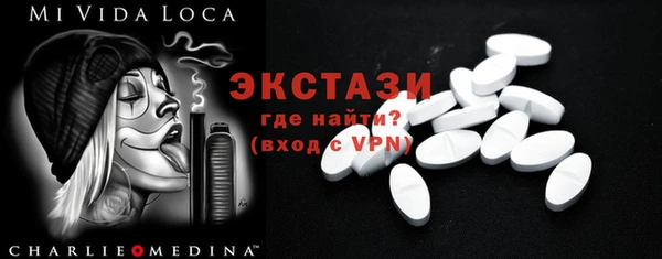 ECSTASY Бородино