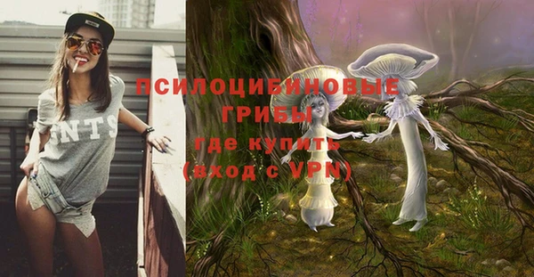 ECSTASY Бородино