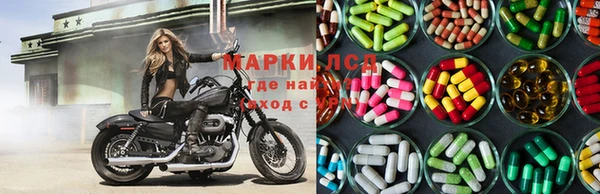 ECSTASY Бородино