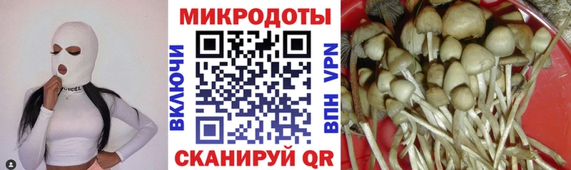 Псилоцибиновые грибы Psilocybe Горнозаводск